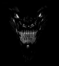 MOI  :  KAKI  LE  DRAGON  NOIR